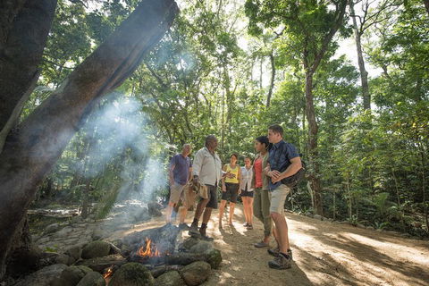 Mossman Gorge Adventure Day - Accommodation Sunshine Coast 0