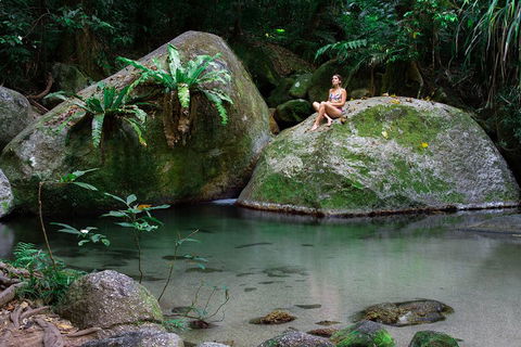 Mossman Gorge Adventure Day - Accommodation Sunshine Coast 2