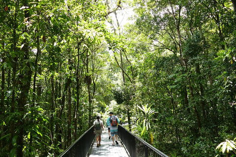 Daintree Dreaming Traditional Aboriginal Fishing From Cairns Or Port Douglas - Accommodation Sunshine Coast 3
