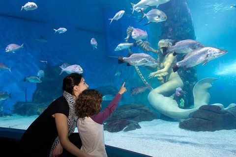 SEA LIFE Melbourne Aquarium Admission Ticket - Accommodation Sunshine Coast 4