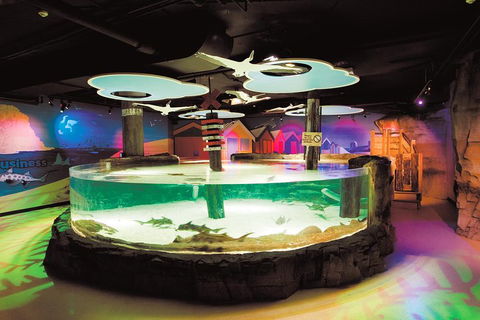 SEA LIFE Melbourne Aquarium Admission Ticket - Accommodation Sunshine Coast 5