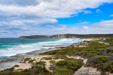 Kangaroo Island Luxury Small Group 'East End Explorer' Full Day Tour - Accommodation Sunshine Coast 0