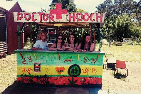 Byron Surrounds: Nimbin Waterfall Adventure - Swimming Tour - Accommodation Sunshine Coast 5