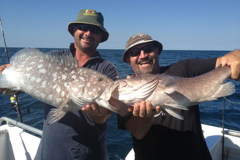 Full Day Fishing Charter - Accommodation Sunshine Coast 3