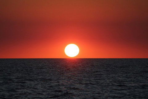 Roebuck Bay Snubfin Dolphin Cruise - Accommodation Sunshine Coast 3