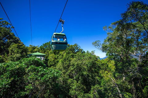 Classic Kuranda By Skyrail And Scenic Railway Including Rainforestation, Koala And Wildlife Park And Pamagirri Aboriginal Experi - Accommodation Sunshine Coast 0