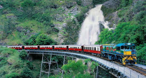 Classic Kuranda By Skyrail And Scenic Railway Including Rainforestation, Koala And Wildlife Park And Pamagirri Aboriginal Experi - Accommodation Sunshine Coast 1