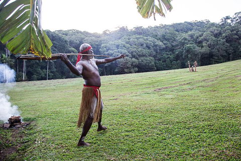 Classic Kuranda By Skyrail And Scenic Railway Including Rainforestation, Koala And Wildlife Park And Pamagirri Aboriginal Experi - Accommodation Sunshine Coast 5