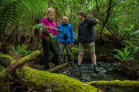Bruny Island Traveller - Gourmet Tasting And Sightseeing Day Trip From Hobart - Accommodation Sunshine Coast 1