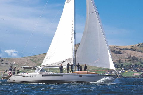 Half-Day Sailing On The Derwent River From Hobart - Accommodation Sunshine Coast 1