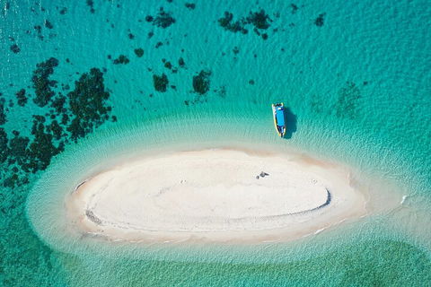 Ocean Safari Great Barrier Reef Experience In Cape Tribulation - Accommodation Sunshine Coast 3