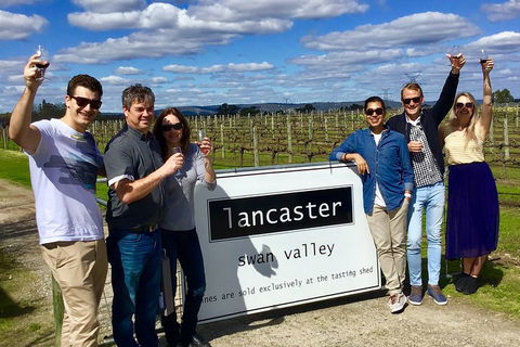 Swan Valley Tour From Perth: Wine, Beer And Chocolate Tastings - Accommodation Sunshine Coast 1