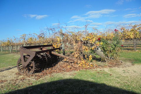 Swan Valley Tour From Perth: Wine, Beer And Chocolate Tastings - Accommodation Sunshine Coast 3