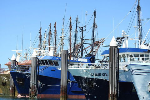 One Day Port Lincoln Tour - Tasting Eyre - Accommodation Sunshine Coast 0