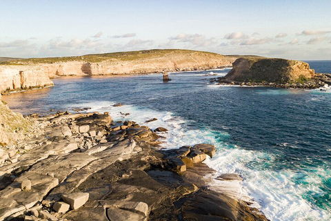 One Day Port Lincoln Tour - Tasting Eyre - Accommodation Sunshine Coast 3