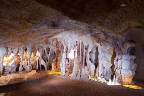 Springbrook AndTamborine Rainforest Tour Incl Natural Bridge And Glow Worm Cave - Accommodation Sunshine Coast 4