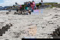Book Viator Accommodation Vacations Accommodation Sunshine Coast Accommodation Sunshine Coast