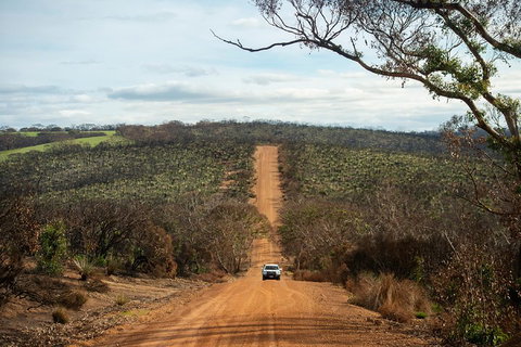 NEW TOUR - Kangaroo Island Road To Recovery Tour (1 Day/1 Night) - Accommodation Sunshine Coast 2