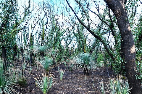 NEW TOUR - Kangaroo Island Road To Recovery Tour (1 Day/1 Night) - Accommodation Sunshine Coast 3