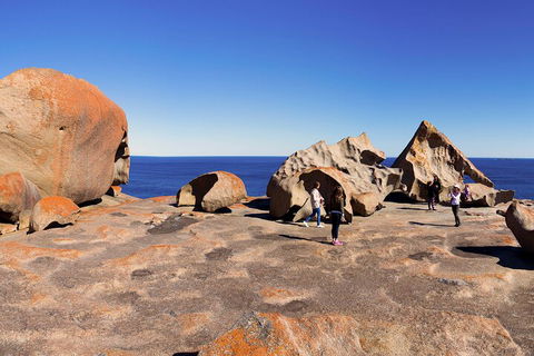 Full-Day Kangaroo Island Experience Departing From Kangaroo Island - Accommodation Sunshine Coast 4