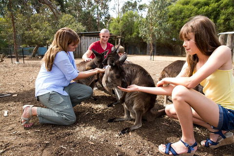 Full-Day Kangaroo Island Experience Departing From Kangaroo Island - Accommodation Sunshine Coast 5
