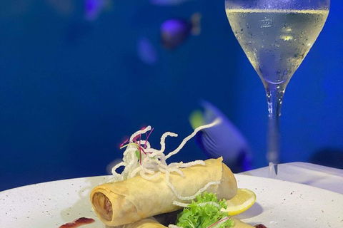 Cairns Aquarium And Small Group City Sightseeing Tour - Accommodation Sunshine Coast 5