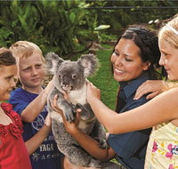 Kuranda Koala Gardens General Entry Ticket - Accommodation Sunshine Coast