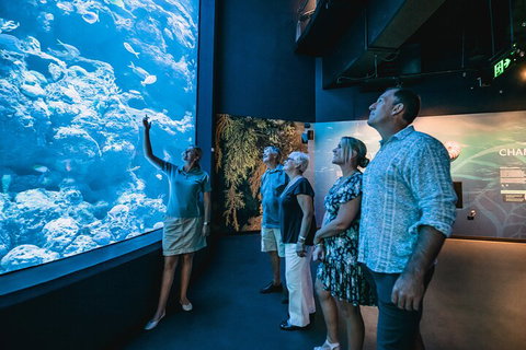 Cairns Aquarium By Twilight With 3-Course Dinner - Accommodation Sunshine Coast 1