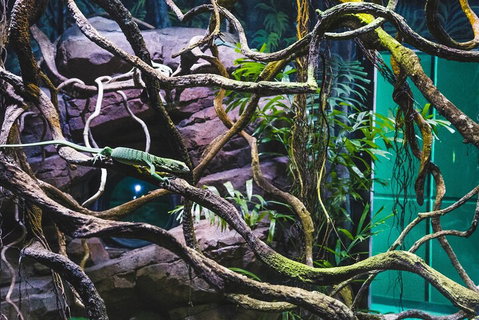 Cairns Aquarium By Twilight With 3-Course Dinner - Accommodation Sunshine Coast 2