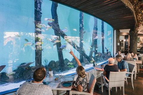 Cairns Aquarium By Twilight With 3-Course Dinner - Accommodation Sunshine Coast 4