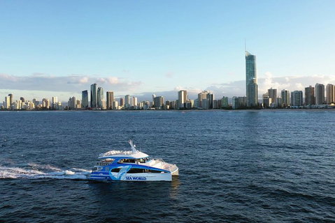 Whale Watching By Sea World Cruises - Accommodation Sunshine Coast 1