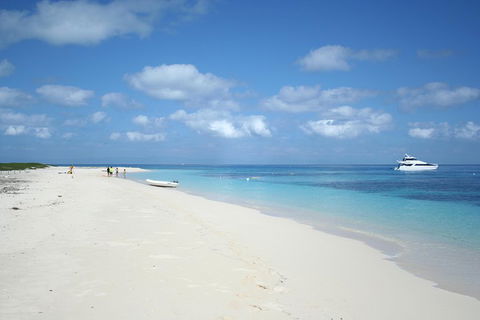 Seastar Luxury Outer Great Barrier Reef Island And Reef Tour From Cairns - Accommodation Sunshine Coast 3