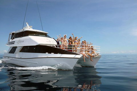 Seastar Luxury Outer Great Barrier Reef Island And Reef Tour From Cairns - Accommodation Sunshine Coast 4