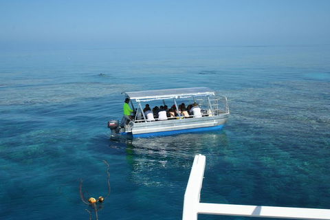 Seastar Luxury Outer Great Barrier Reef Island And Reef Tour From Cairns - Accommodation Sunshine Coast 5