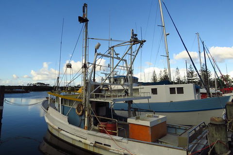 Beyond Byron Hinterland Tour - Accommodation Sunshine Coast 0