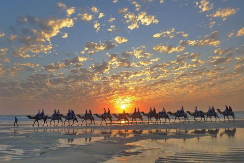 Broome City Sightseeing Tour With Optional Camel Ride - Accommodation Sunshine Coast 1