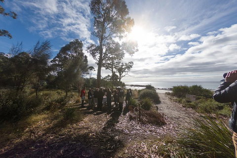 Bruny Island Day Tour, Includes Lunch And Exclusive Lighthouse Tour - Accommodation Sunshine Coast 5