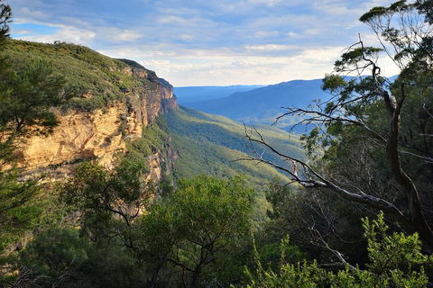 Blue Mountains Day Tour With Wildlife At Sunset From Sydney - Accommodation Sunshine Coast 5