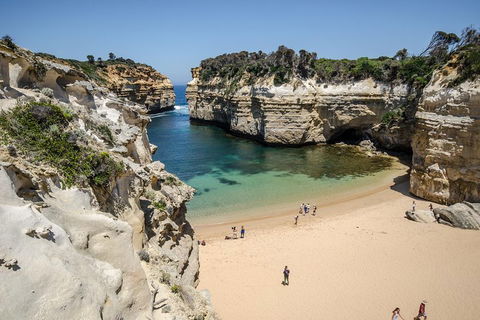 Great Ocean Road Reverse Itinerary With 12 Apostles From Melbourne - Accommodation Sunshine Coast 5