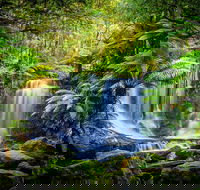 Day Tour in Mt. Field Mt. Wellington Bonorong Wildlife Sanctuary and Richmond - Accommodation Sunshine Coast
