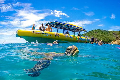 Great Barrier Reef Scenic Flight And Ocean Rafting Whitehaven Beach Day Trip - Accommodation Sunshine Coast 1
