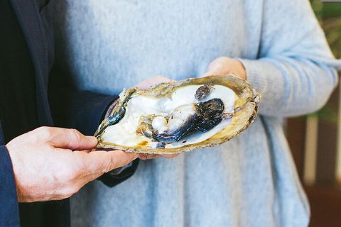 Half-Day Willie Creek Pearl Farm Tour With Helicopter Flight - Accommodation Sunshine Coast 3