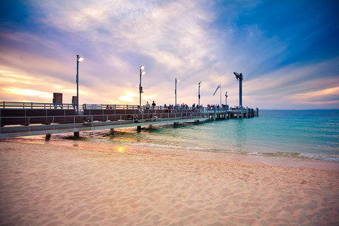Tangalooma Island Resort Whale Watching Day Cruise With Dolphin Viewing - Accommodation Sunshine Coast 3