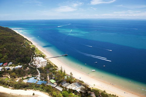 Tangalooma Island Resort Whale Watching Day Cruise With Dolphin Feeding - Accommodation Sunshine Coast 2