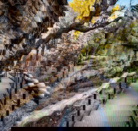 Kakadu National Park Cultural Experience - Accommodation Sunshine Coast