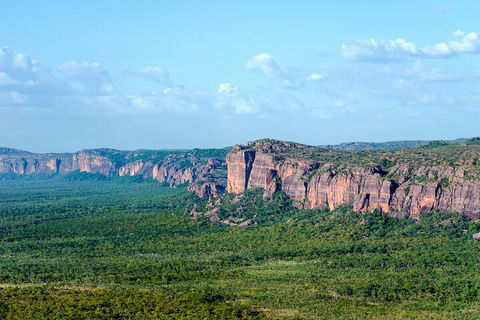 Jabiru 60 Minute Scenic Flight - Accommodation Sunshine Coast 4