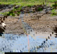 Darwin to Kakadu Day Trip by Air Including Yellow Water Cruise - Accommodation Sunshine Coast