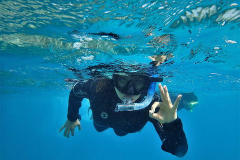 3 Day Whitsundays Sailing And Diving Adventure: Kiana - Accommodation Sunshine Coast 0