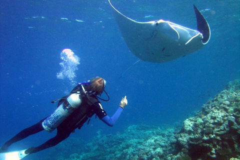 3 Day Whitsundays Sailing And Diving Adventure: Kiana - Accommodation Sunshine Coast 3