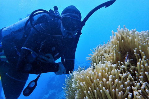3 Day Whitsundays Sailing And Diving Adventure: Kiana - Accommodation Sunshine Coast 5